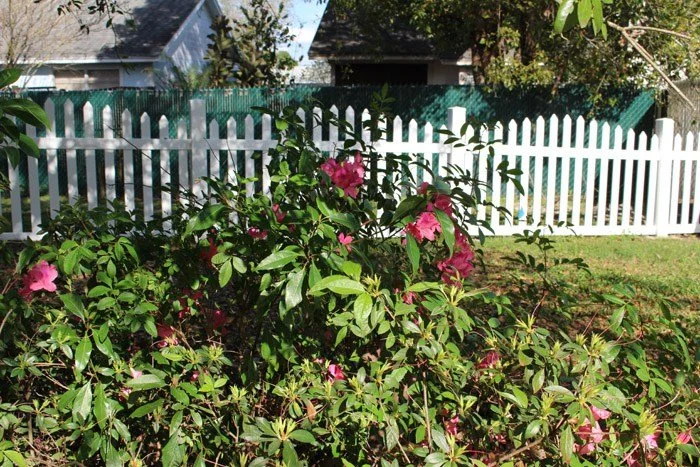 wooden vinyl fence around a house