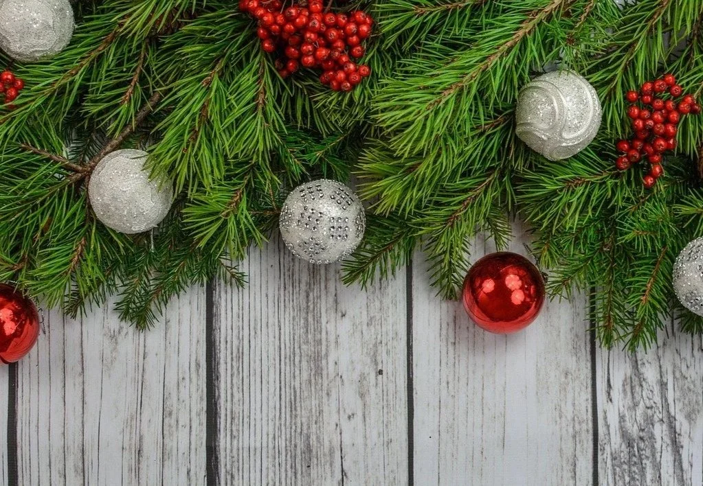 wooden fence in a garden
