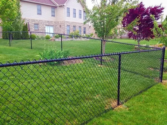 Black chain-link fence in a grassy backyard