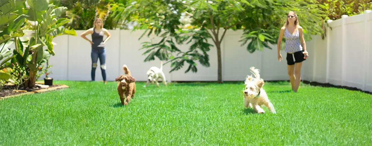 Two women with three dogs in a yard